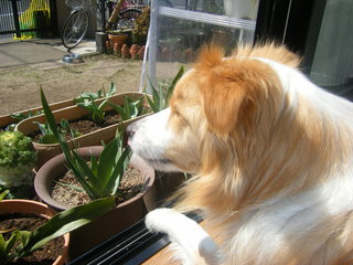 DSCF4004.JPG