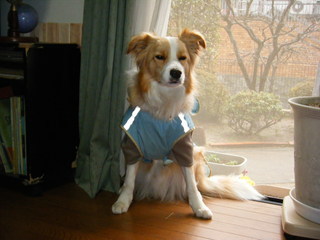 DSCF4005.JPG