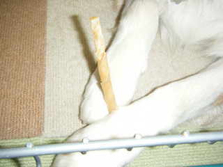DSCF4028.JPG