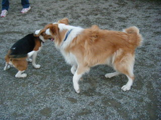 DSCF7030.JPG