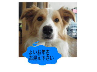 絵1.jpg